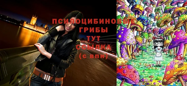 jwh Горняк