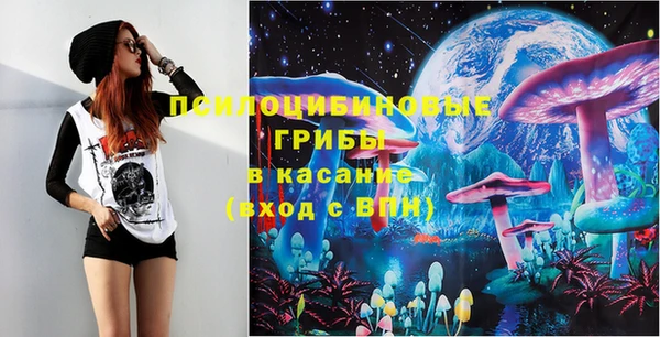 PSILOCYBIN Аркадак