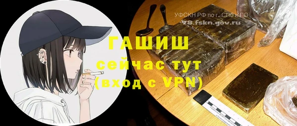 PSILOCYBIN Аркадак